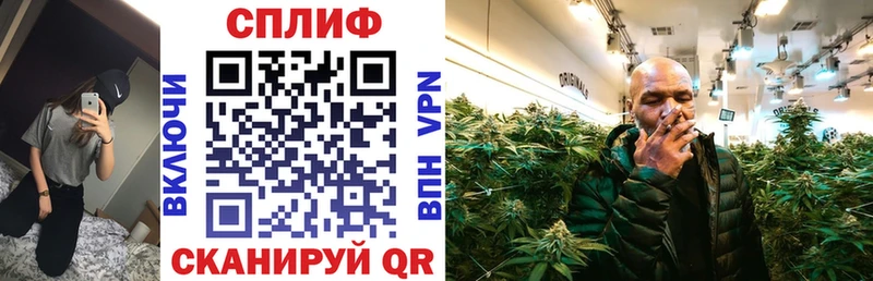 Продажа наркотиков Болохово Галлюциногенные грибы Меф Кодеин ГАШ