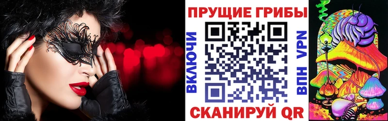 магазин  наркотиков  Болохово  площадка клад  Псилоцибиновые грибы GOLDEN TEACHER 